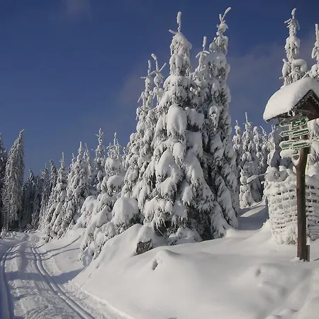 Haus Caecilie Apartament *