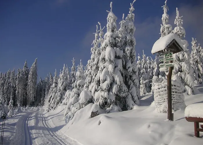 Haus Caecilie Lejlighed *